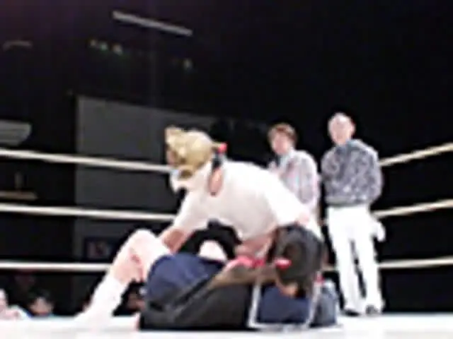 2006.12.30・新… キャッスルマニア2 女祭り2006 上巻