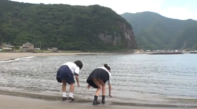 水泳大会、記念の海水浴と… 偶然の再会