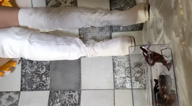 今回はあのあみちゃんが可… あみちゃんのカラーガード隊でザリガニ駆除白ブーツ編