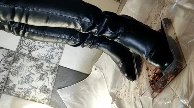 今回はセクシーな黒のブー… あみちゃんのマーチングバンドでザリガニ駆除黒ブーツ編