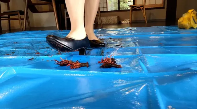 今回はスーツ姿、パンプス… みくちゃんの特定外来種パンプスで踏み潰して駆除 VOL1