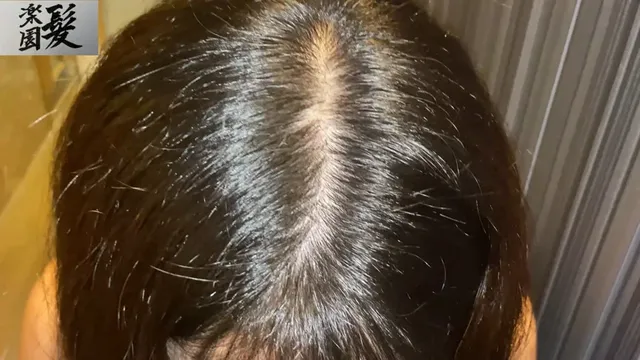 こちらの作品はせっかくの… 髪楽園No.9 黒髪ショート