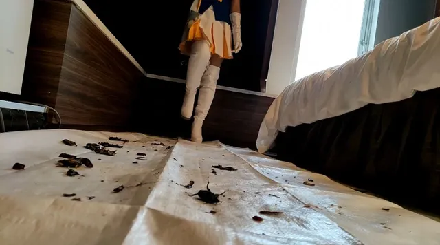 カラーガード隊続編は、い… みくちゃんのマーチングバンド隊でカブトムシCRUSH VOL2