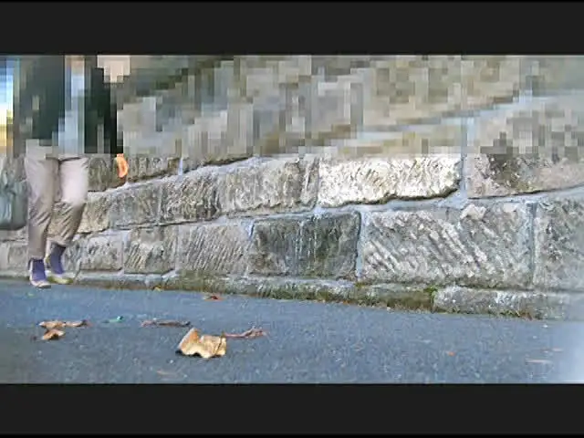 秋の終わり…アカトンボは… お嬢様がトンボとカタツムリを踏みにじって歩き去る！