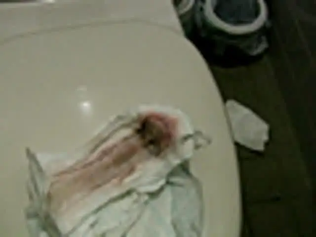 トイレの汚物入れに入って… 汚物収集家2