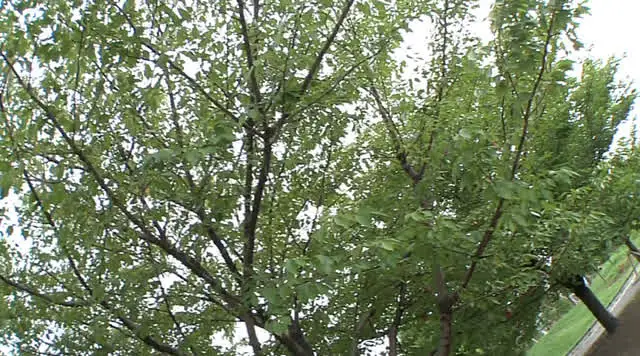 いつも色々な男達にハメハ… 美しい女の卑猥な肉体 高沢沙耶
