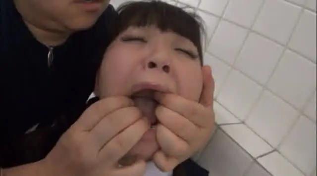 ハーメルンレーベル大人気… 浣腸飲尿 変態幼肉便女 8時間総集編