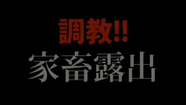 行方不明になっていた女子… 調教！家畜露出