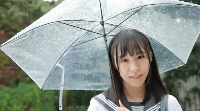 清楚で内気な表情が初々し… 純系ラビリンス／月野ゆい