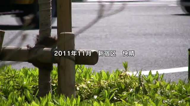 巨尻が眩しい上品妻のさゆ… 俺たちの熟女 さゆり 43歳
