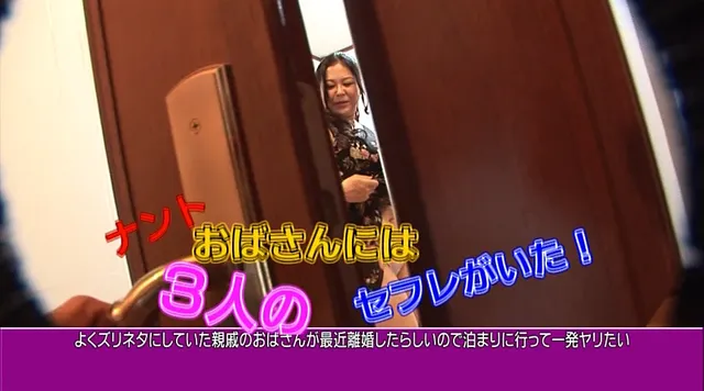 昔ズリネタにしていた親戚… 親戚のおばさんが最近離婚したらしいので一発ヤリたい