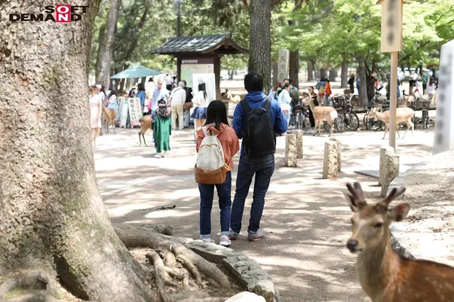 SODに倒産した、地方の… 奈良で捕まえた超絶オドオドビクビクデカちち子ちゃん