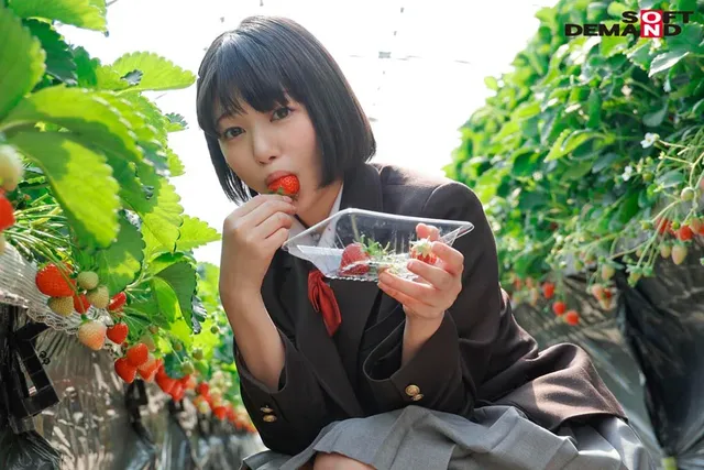 高校を卒業したばかりの桃… SOD専属AVデビュー 桃乃りん