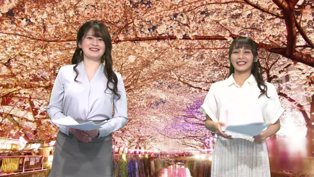 「女子アナと桜を見る会！… 女子アナ桜を見る会！花よりチンコでイキまくり！