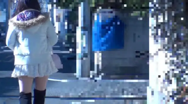 東京都足○区○○町内で一… 公衆便所を探す女を追跡して盗撮した映像 8人