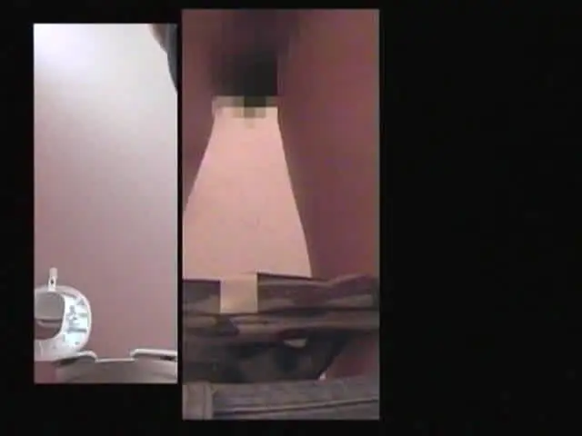 けっして人には見せられな… トイレざんまい。 室内、野外の恥ずかし映像集