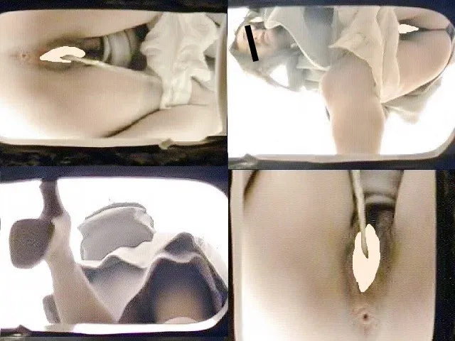 海の近くの公園にあるトイ… 汲み取り，海の公園－2