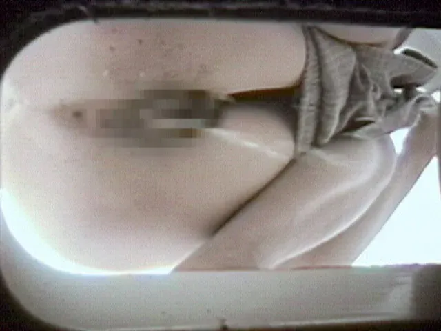 海水浴場にある汲み取りト… 汲み取り、海水屋浴場海の公園－（2）