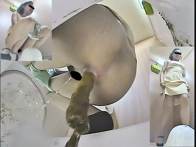 「汲み取り仮設トイレ」シ… 汲み取り仮設トイレ（1）