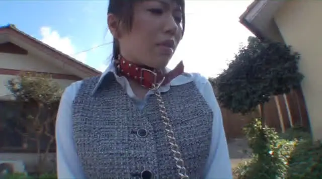 野外脱糞雌犬6匹が登場し… 野外排泄 強制脱糞に従う雌犬