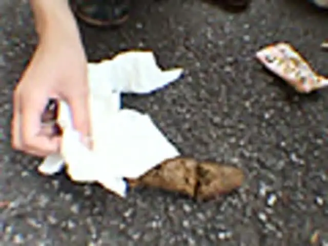 ついに現れました、大塚史… とにかく太い！！ 一本糞しかしない女！！