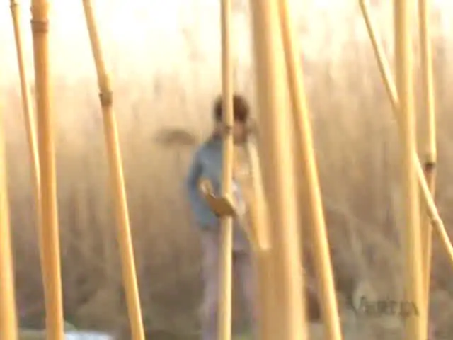 本作は排泄の欲求に耐え切… 実録 野しょんべん ギリ間に合った女達