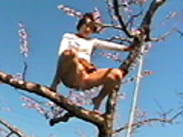 今回の目玉はお花見。きれ… ビックリ！仰天野外聖水18