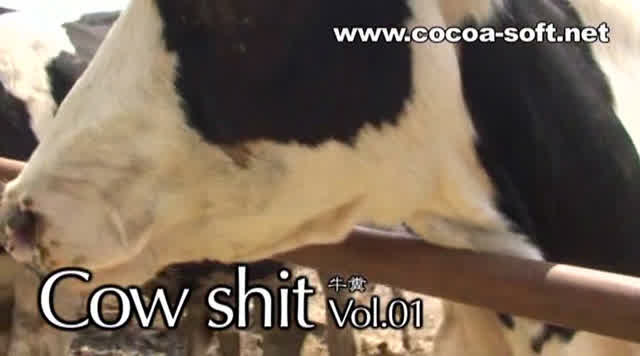 モデルさんには「牛糞」だ… Cow shit Vol.01