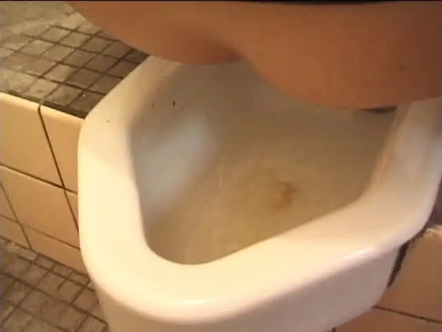 絶対にウンコはしないモデ… 大便法典19