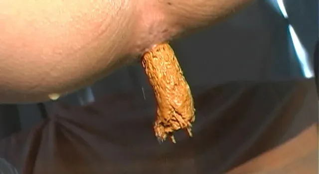 「私のうんちしてるところ… 全国うんこ紀行総集編5時間DX