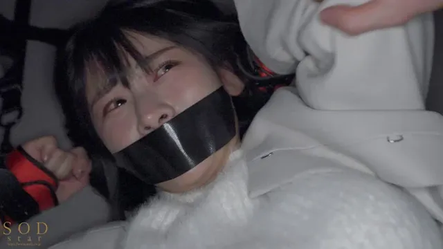 幾多のギャラ飲みアプリを… 金とチ○ポで尊厳破壊キメセク乱交 宮島めい