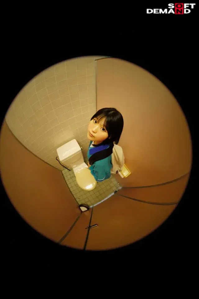 【投稿者からのコメント】… 公衆トイレでさくっとヌくための肉おナホ要員にされた