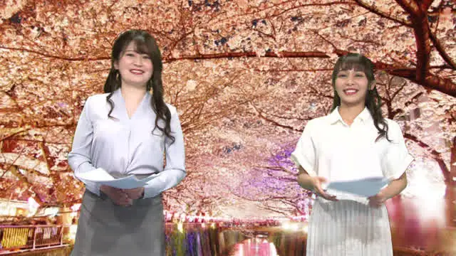 「女子アナと桜を見る会！… 女子アナ桜を見る会！花よりチンコでイキまくり！