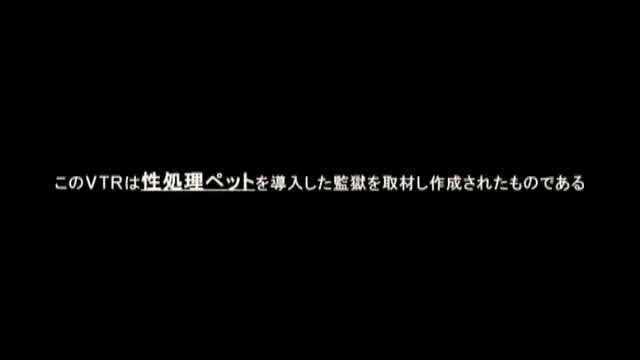 犯罪の増加により、増加の… 囚人専用・性処理ペット