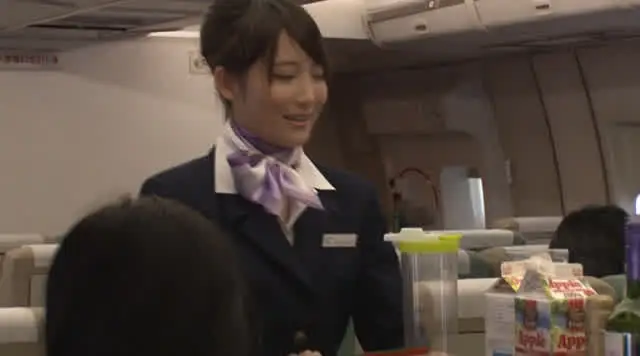 極上の獲物を求め大型旅客… CA飛行機痴漢 豪華版 中出しスペシャル