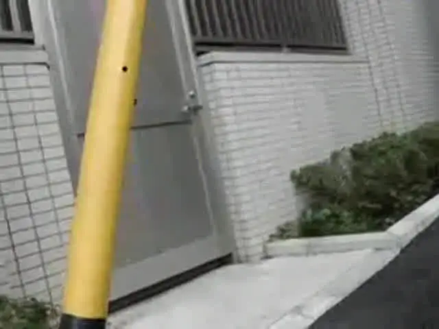 目を覆いたくなる犯罪映像… 強姦映像記録集 第五巻