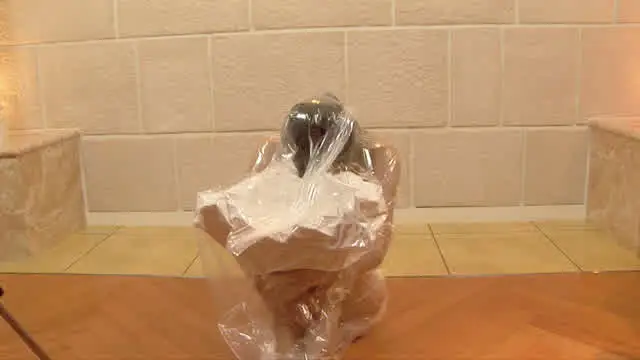 なんと、こんな過激な作品… 人間真空パック 喪心編 新編集版