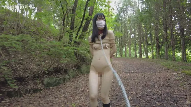 限界を超えた恥ずかしい思… お外で色々詰め合わせ