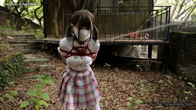 親とケンカして家出してき… 森に迷い込んだ女の子を緊○外飼いペット化